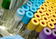 Laboratorio Clínico
