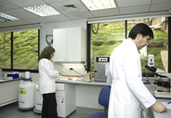 Laboratorio Clínico