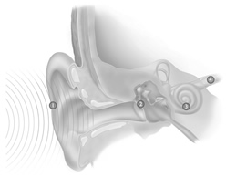 como oimos como oimos