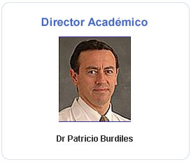 director académico
