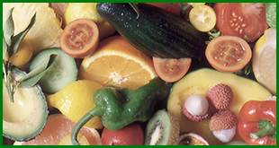Trastornos Alimenticios